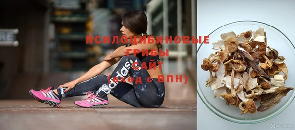 МДПВ Аркадак